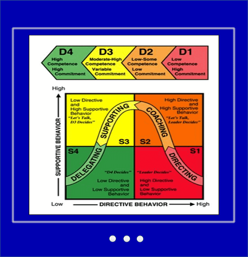 The Situational Leadership Model with its four quadrants